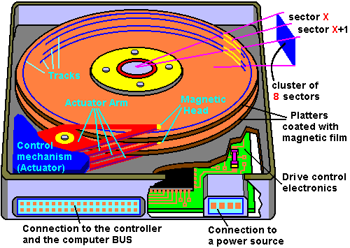 disk.webp